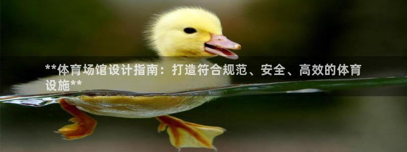 尊龙新版人生就是博!：**体育场馆设计指南：打造符合规范、安