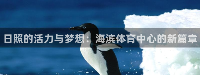 ag尊龙怎么样