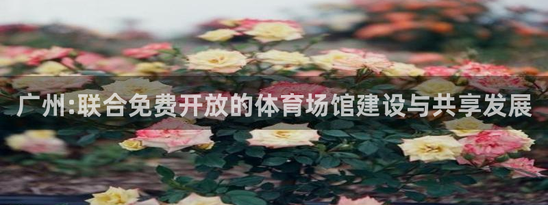 尊龙凯时