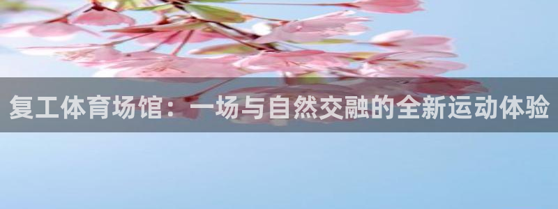 尊龙凯时几百万怎么下