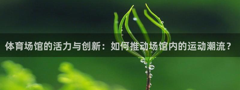 尊龙游戏官网游戏特色