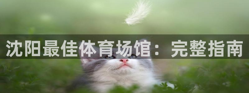 香港尊龙：沈阳最佳体育场馆：完整指南